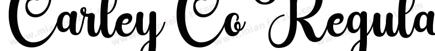 Carley Co Regular字体转换
